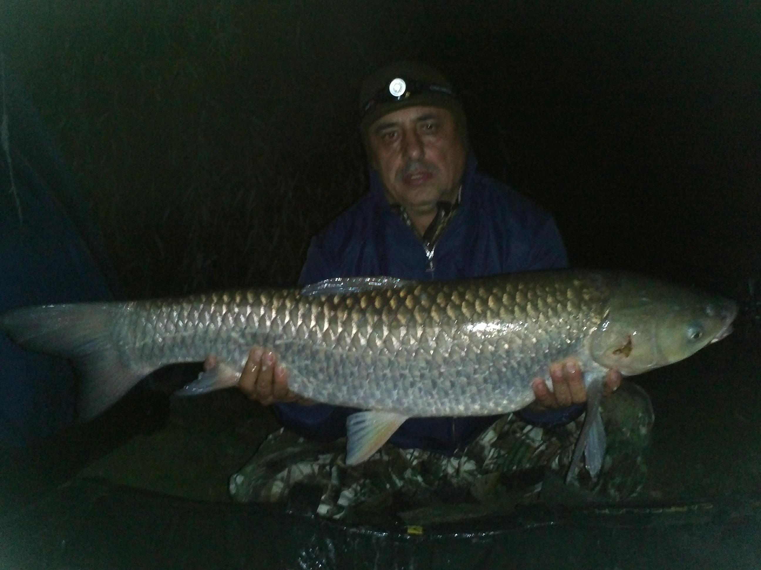 ceva pesti prinsi de mine - 370.jpg